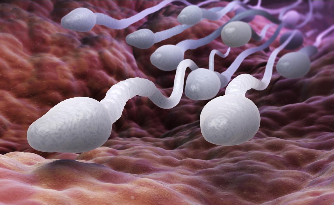 精子不液化症状的人多吗,精子不液化发病概率