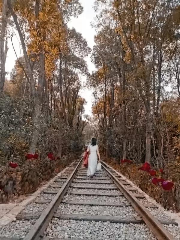 蚌埠禾泉山庄在哪里呀,蚌埠禾泉山庄爬涂山旅游攻略