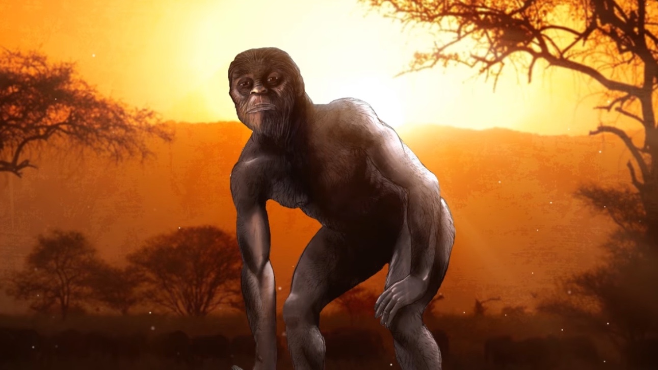 假如你身上有许多毛毛，但不知道如何是好，不妨看一看这篇文章