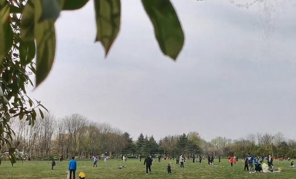 郑州周末遛娃踏青好去处,郑州春季带孩子游玩好去处推荐