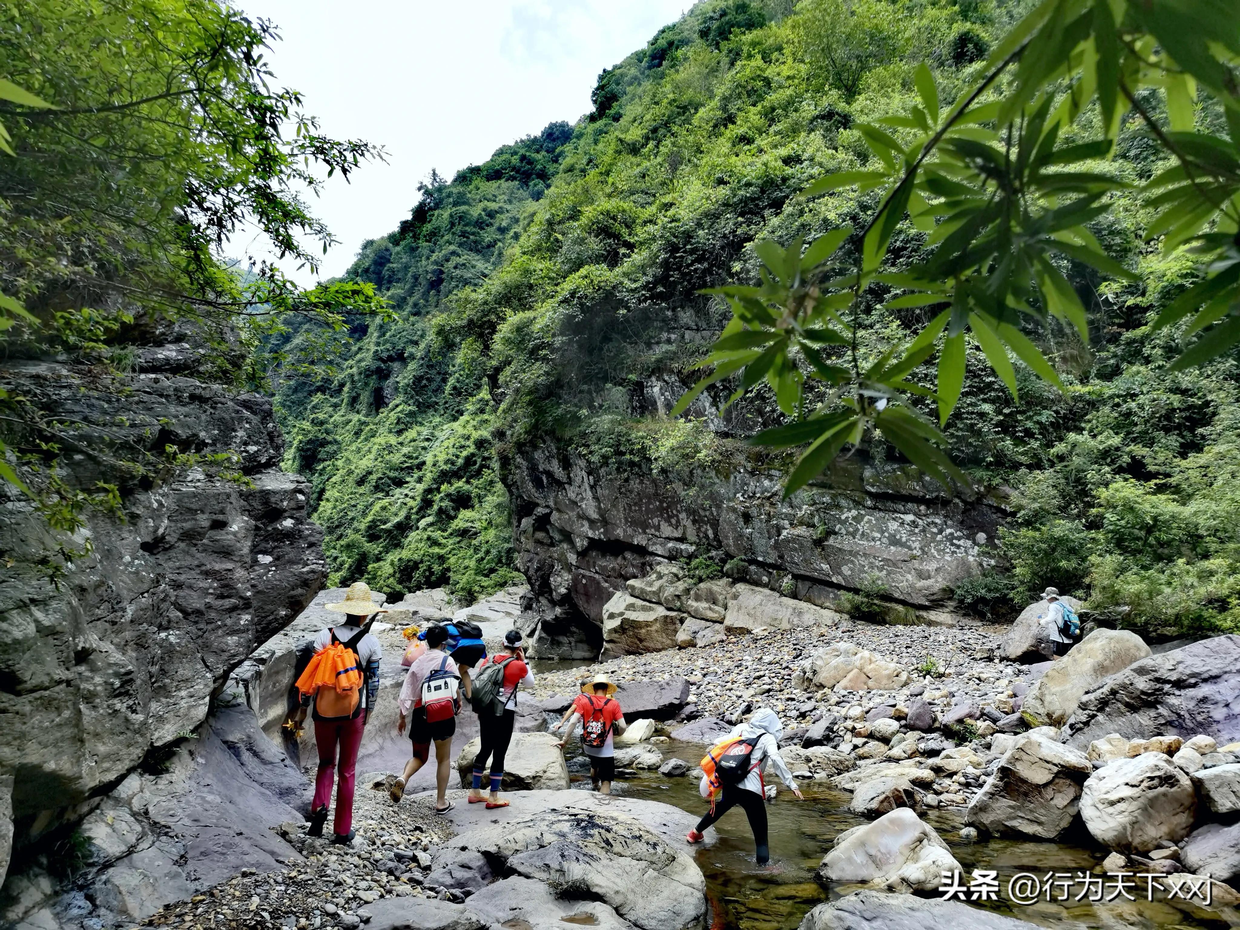 避暑天堂惹人醉完整版,避暑胜地康养天堂