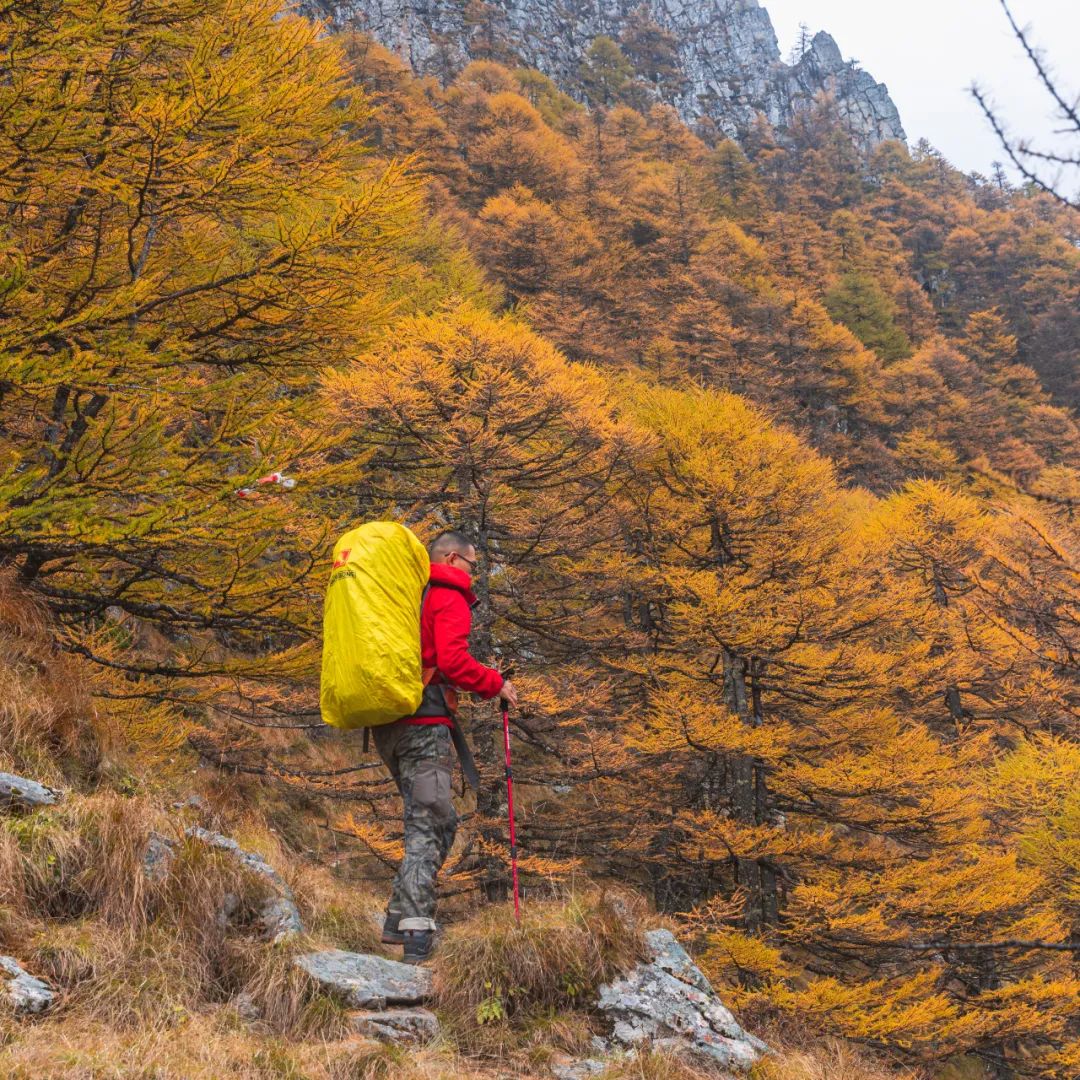 登太白山感受,太白山景区登顶拔仙台