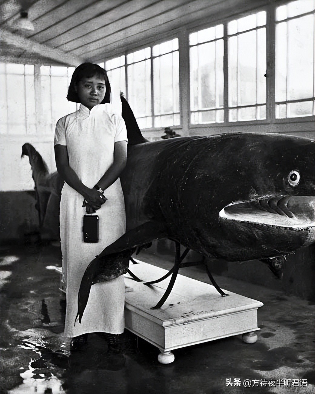 殊异之城：金石声穿过岁月的青岛留影