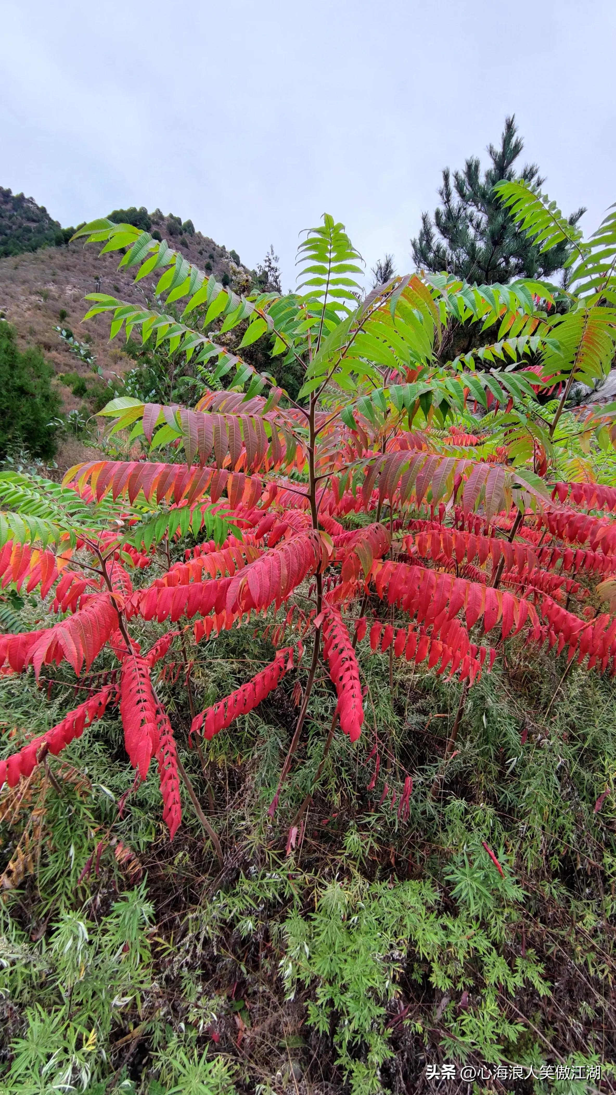 国庆北京自驾风景游,国庆节北京骑行夜景