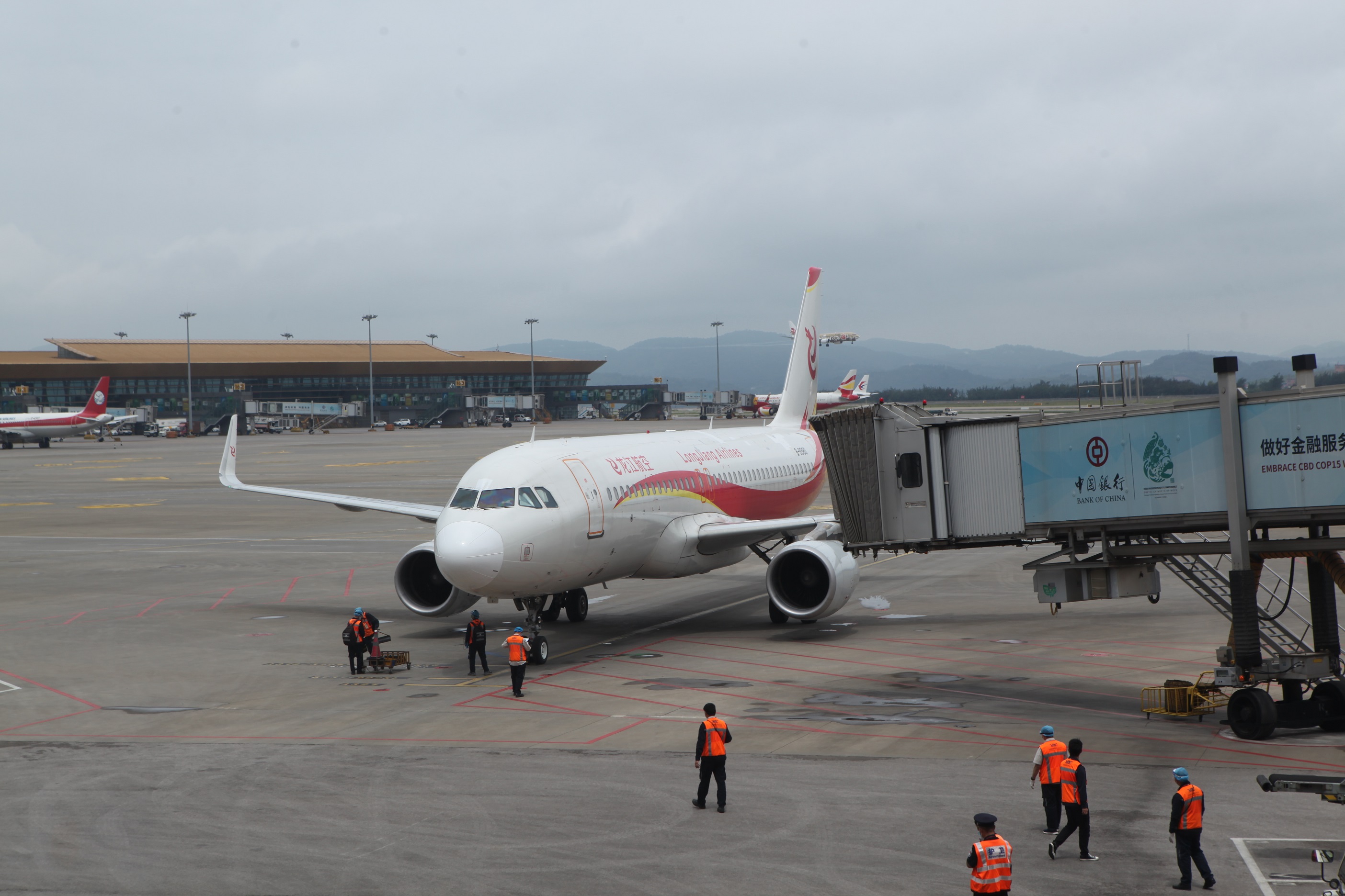 龙江航空哈尔滨航线,龙江航空飞海口