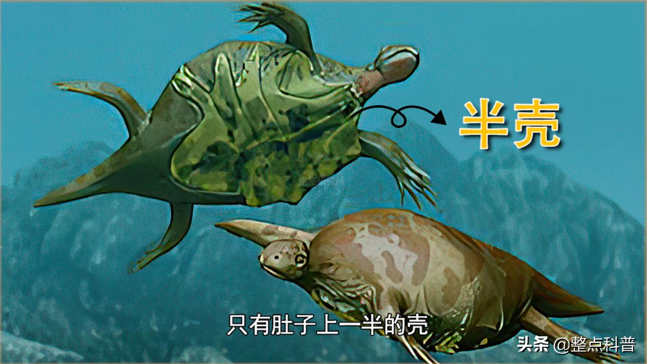 进化论的终极bug,进化论最致命的bug有哪些