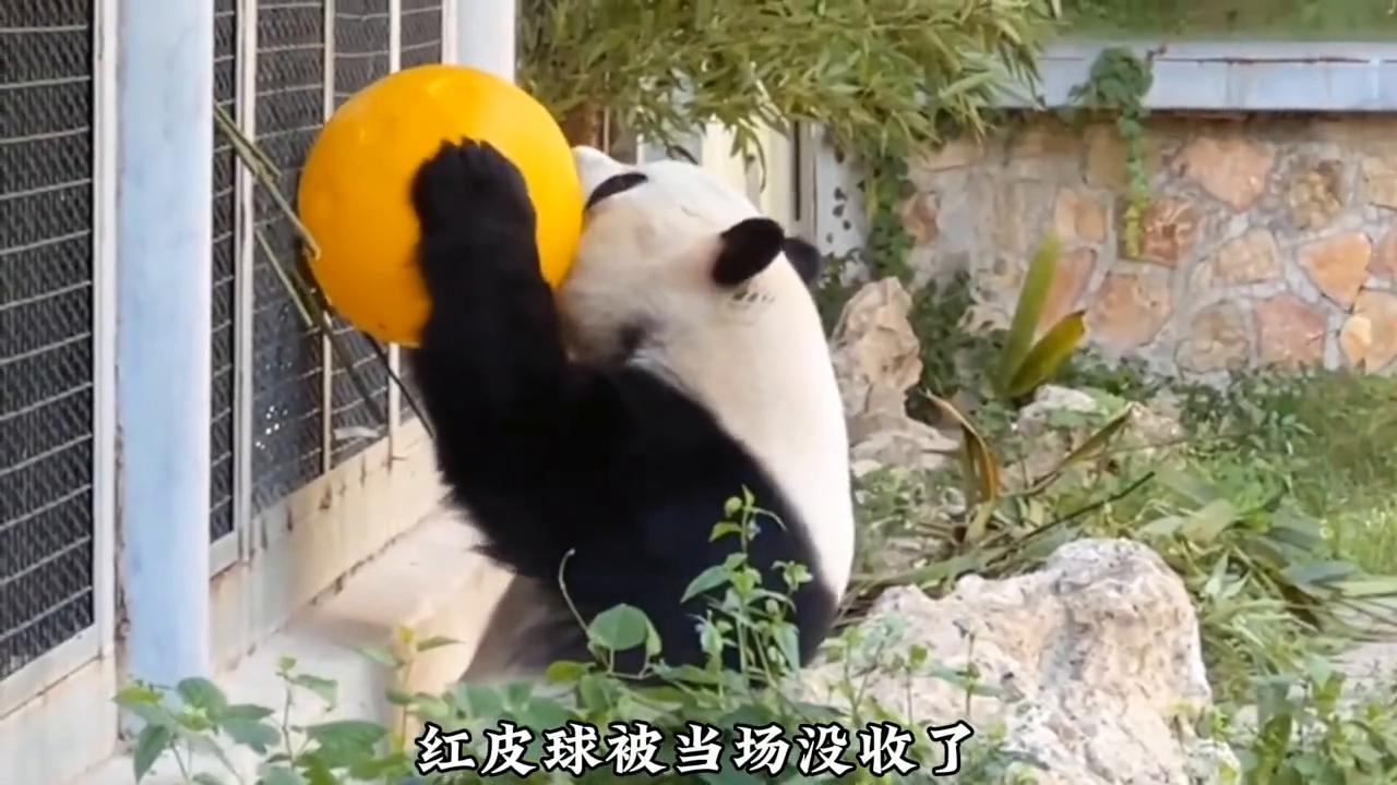 越狱几次才能成功,越狱屡次失败