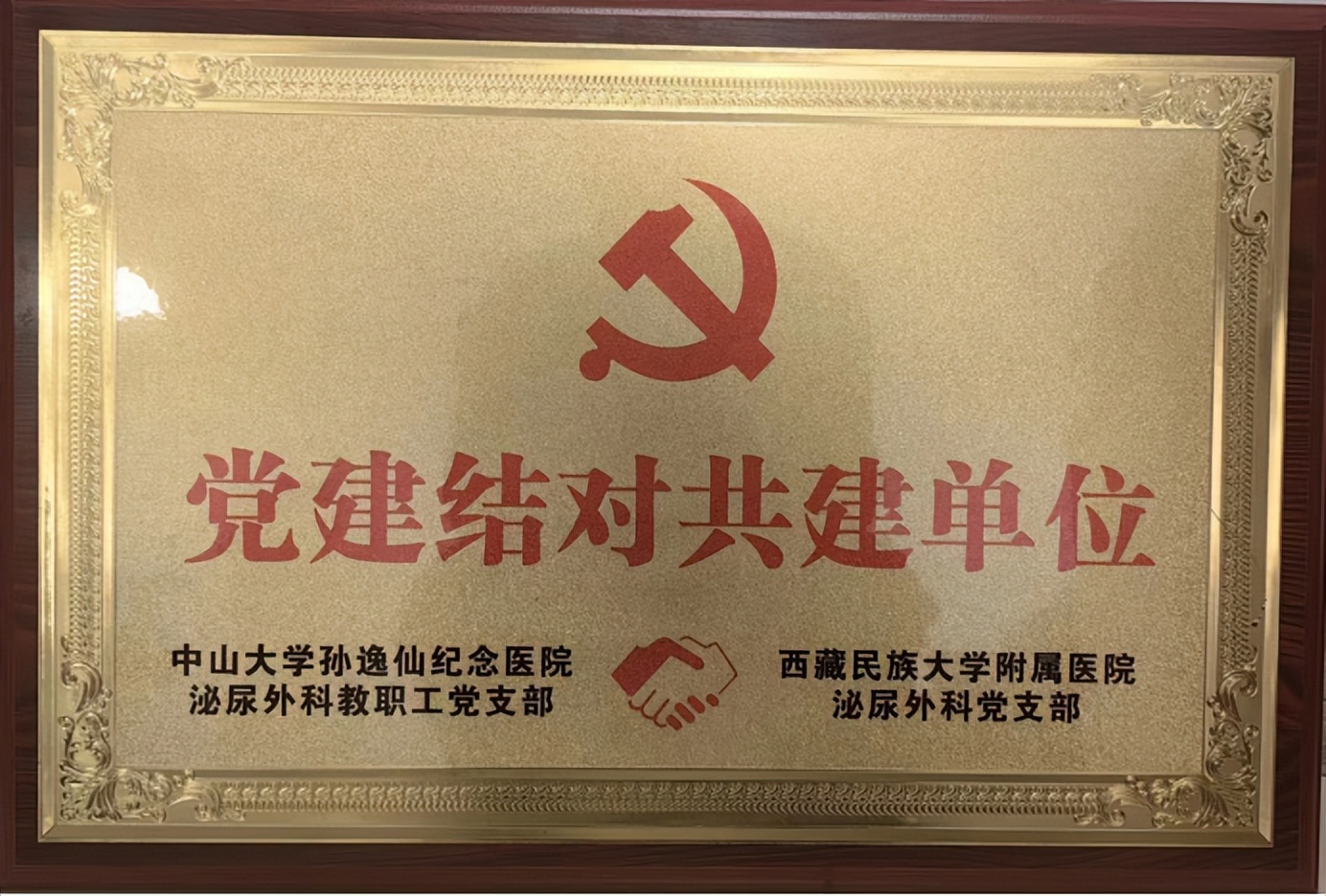 西藏藏医院泌尿科,西藏民族大学附属医院泌尿科