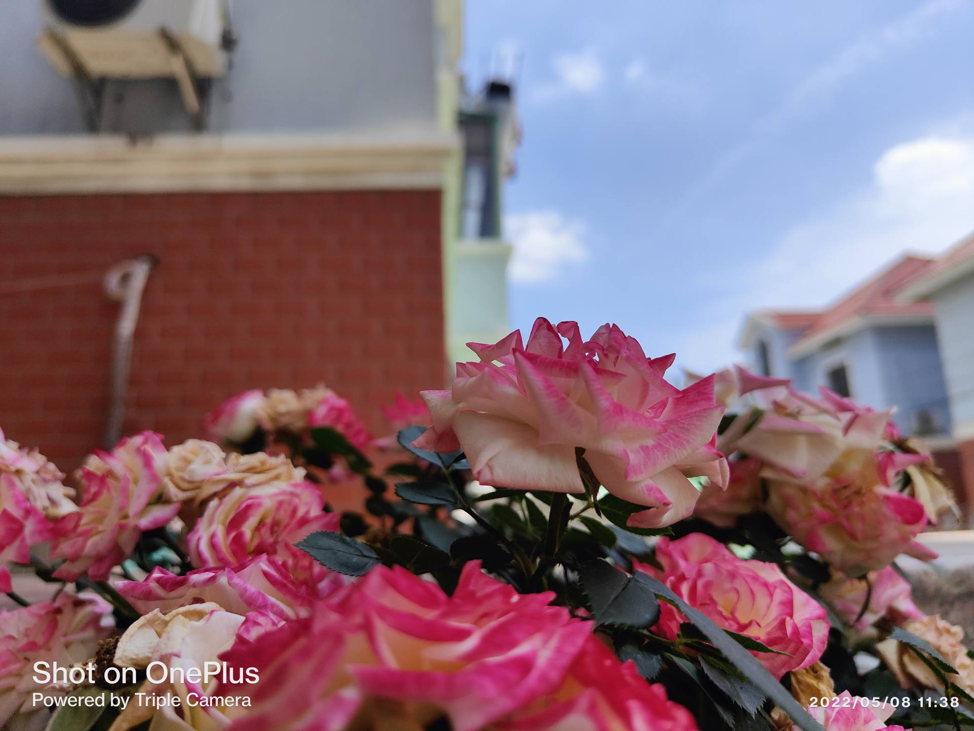 佳能相机100d代值得买吗,2022年佳能100d值得买吗