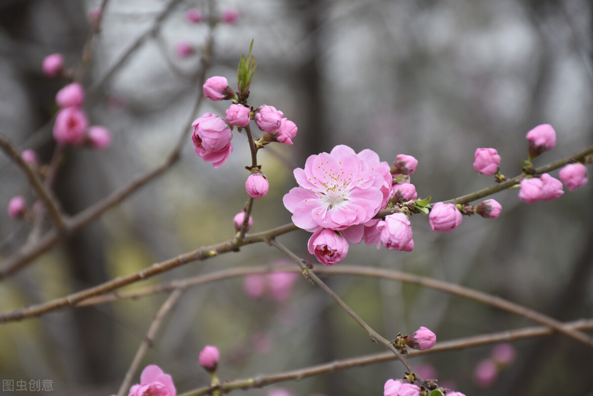 被遗忘的小情书,被遗忘的情书