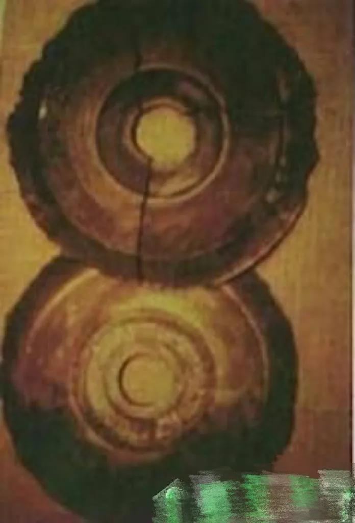 世界奇闻大搜罗,带你看遍全球各种奇闻异事