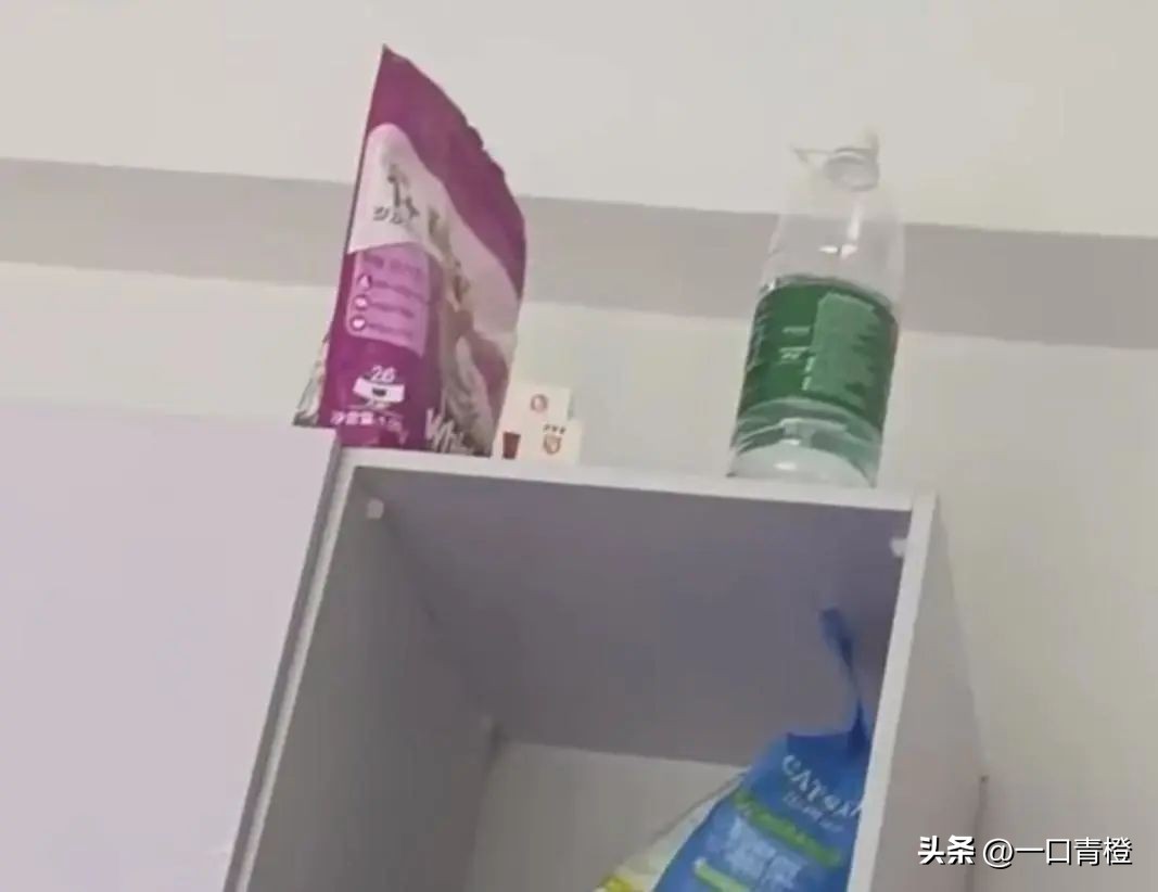 四川女子上门喂猫,女子兼职喂猫遇骚扰