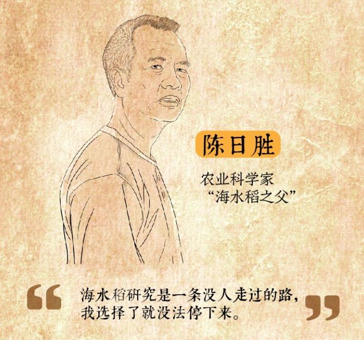 种植海水稻有什么好处,海水稻好吃还是难吃