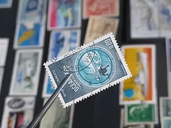 蓝兔子好不好交给时间来评判,蓝兔手感有多好