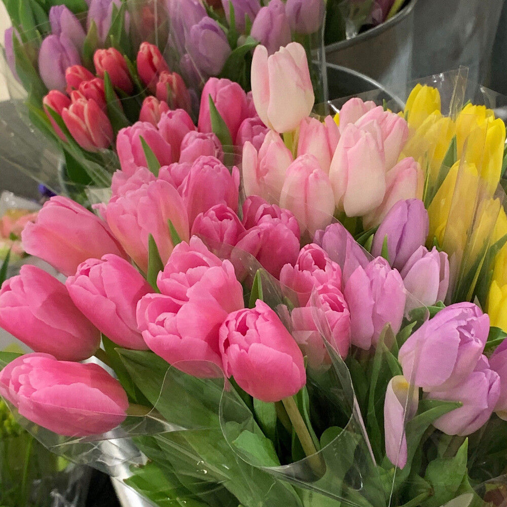 閲嶅悕鐜囧緢灏忕殑缃戝悕,涓嶆槗閲嶅悕闂鸿湝缃戝悕