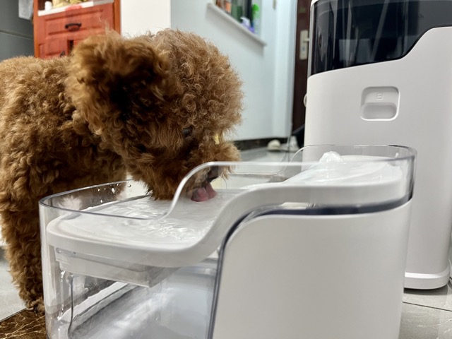宠咕咕智能宠物饮水机,宠咕咕喂食器测评