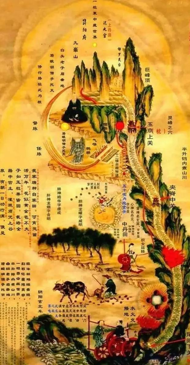 故事：药王唐慎微的离奇见闻，巴蛇护灵药，治酒虫，雀疮，传药典