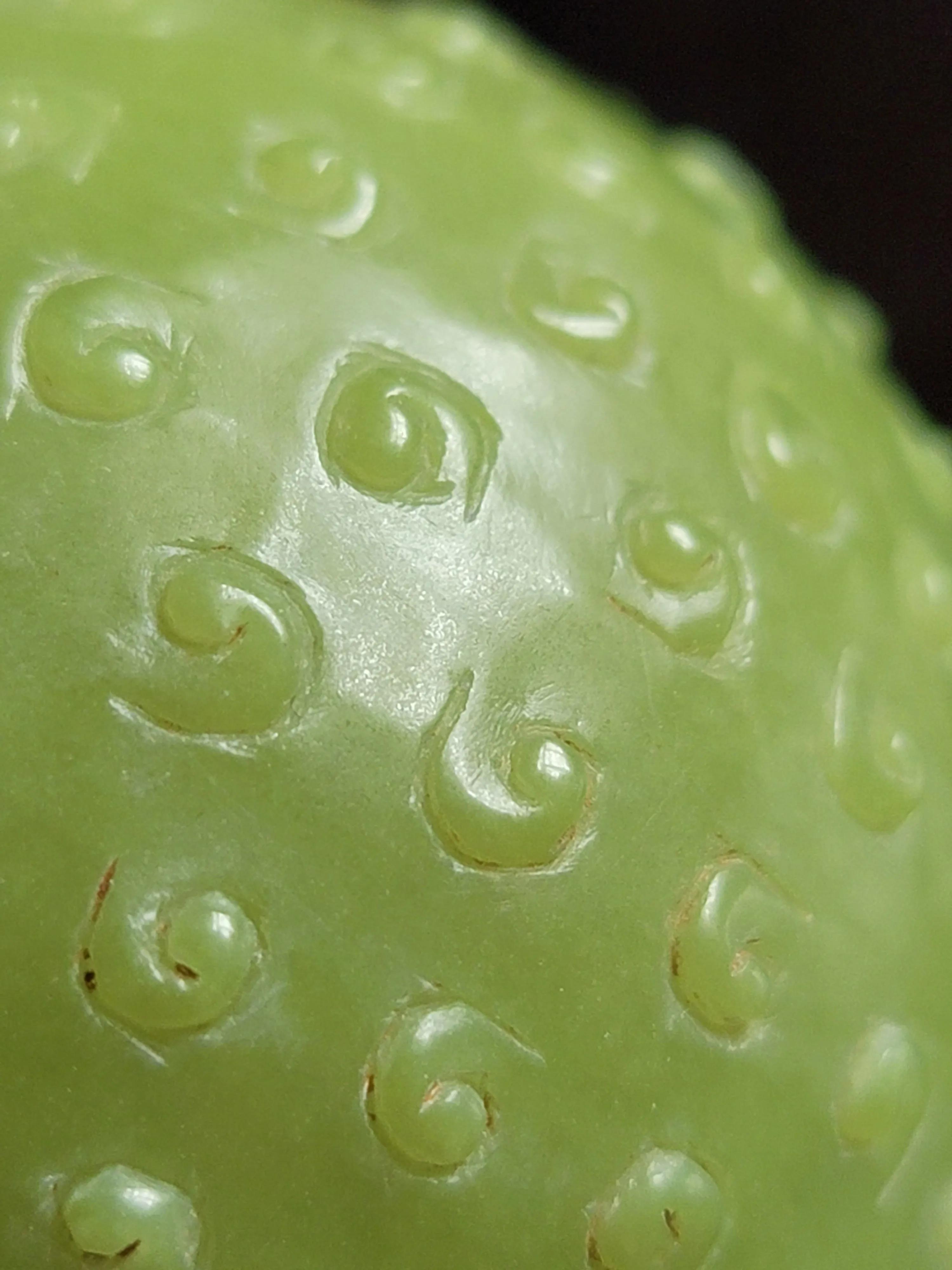 夜明珠到底是什么样子,夜明珠是怎样形成的为何价值不菲