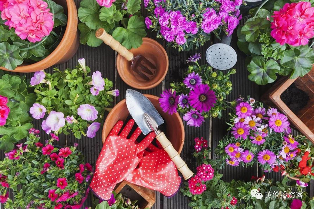 疫情过后英国电商发展现状,疫情过后英国电商发展