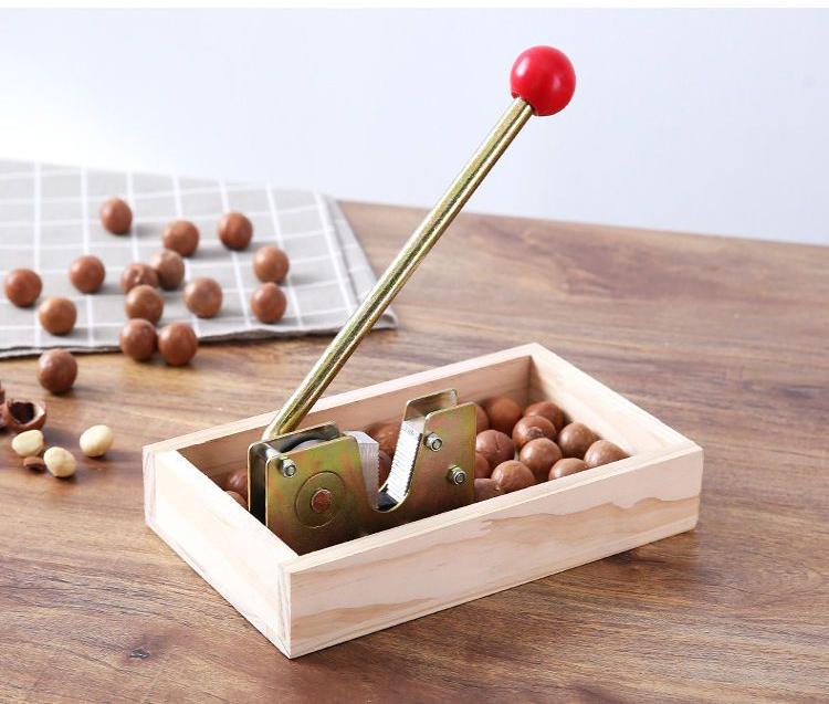 澳洲坚果采摘视频,澳洲坚果摘果