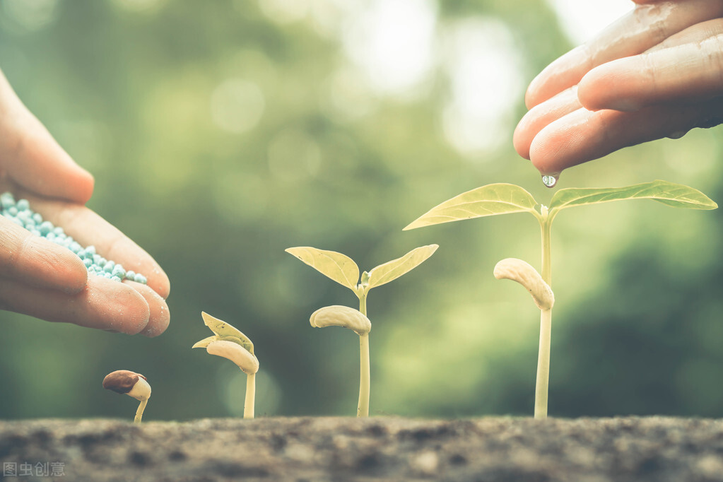 根施和喷施有什么区别,肥料是灌根好还是喷叶面好