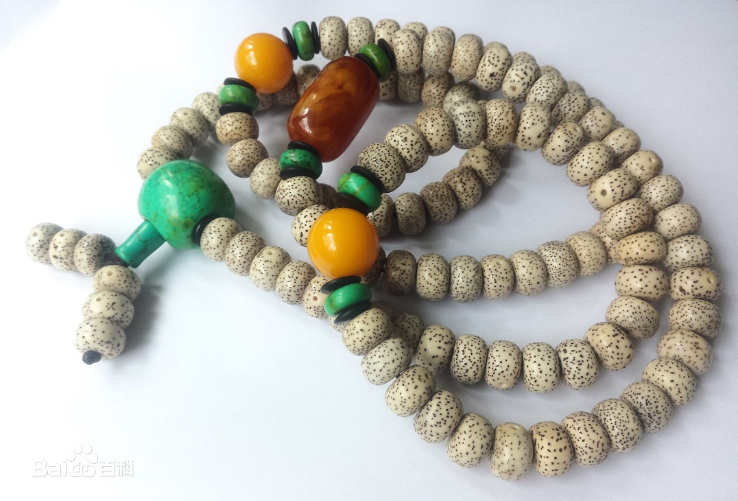 星月菩提子,星月菩提子怎么穿绳