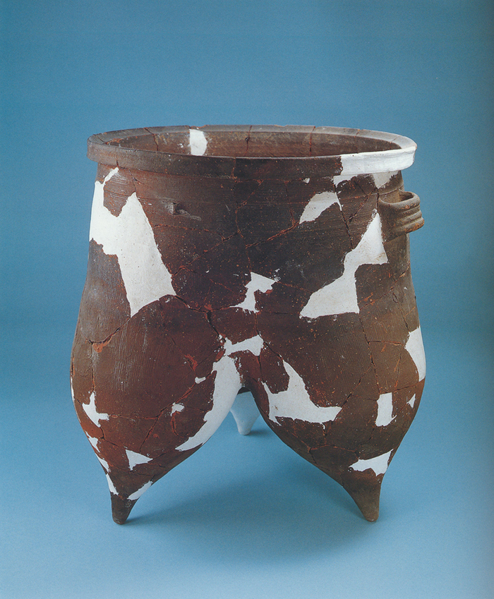 十大考古发现之山东,山东百年百项重要考古发现名录