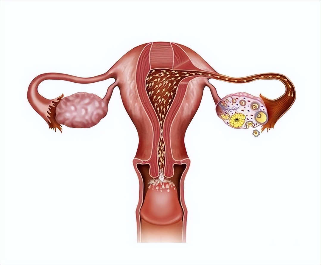 备孕很久却一直怀不上做什么检查,备孕很久了一直怀不上怎么回事
