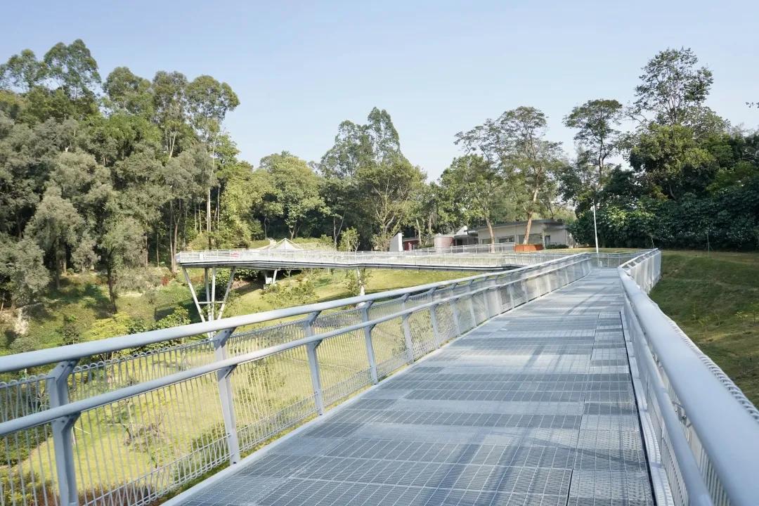 2021广州打卡必去的地方,广州必打卡的十个免费景点