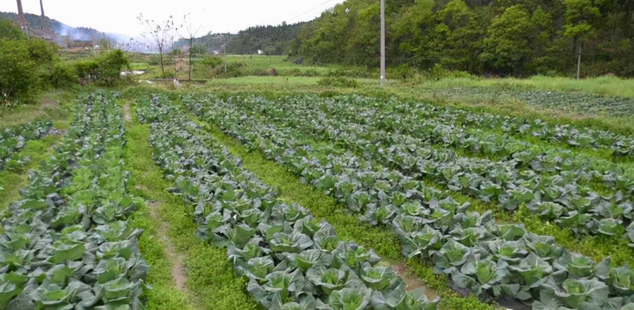 揭秘民间鬼剃头,贵州农村发现鬼剃头