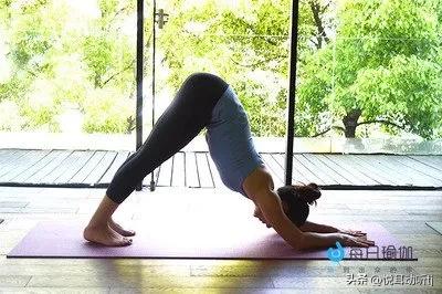 每日瑜伽app怎么样,每日瑜伽王蕊瑜伽视频