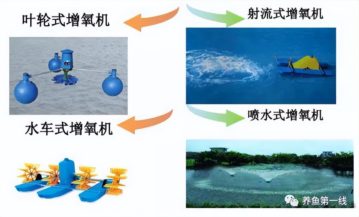 提高水体溶氧量的方法,水体溶氧的正确使用方法