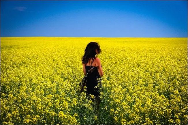 100幅经典摄影作品欣赏,100幅精品摄影图