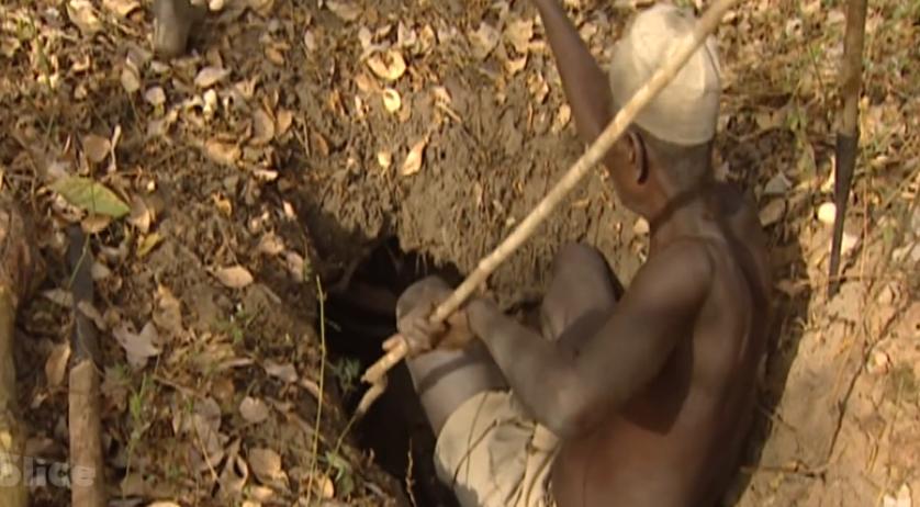 非洲部落狩猎巨蟒的真实场景，巨蟒头被锤烂都还死缠不放！纪录片
