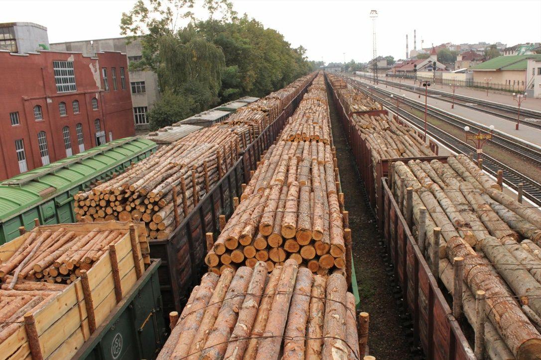 50张图片长见识,32张照片看真实的俄罗斯