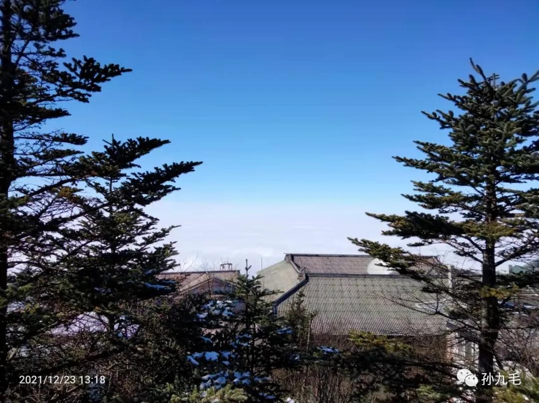 廉价旅行团的真实感受,不购物的廉价旅游团内幕