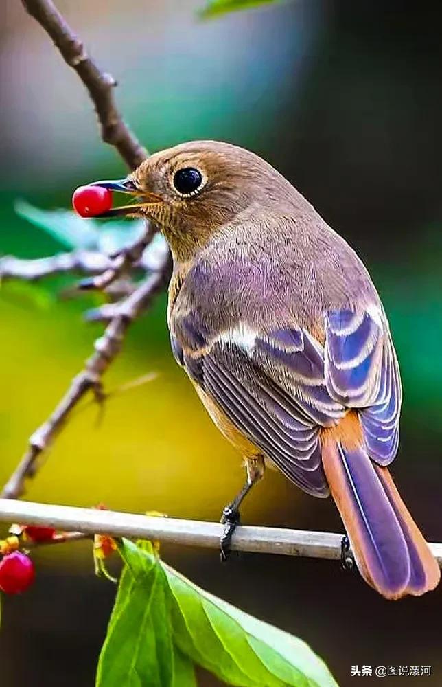 摄影比赛获奖名单公示,摄影大赛颁奖活动暨摄影展美篇