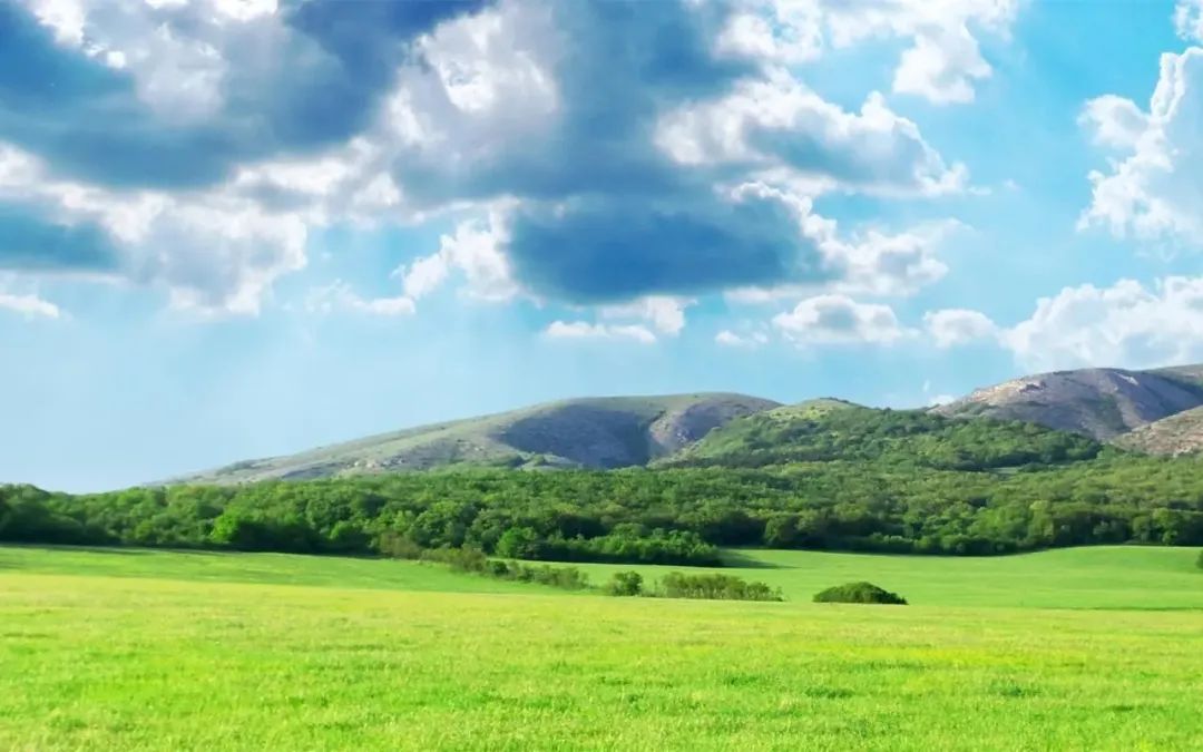 我的自画像作文男生四年级400字,我的自画像作文100字范文