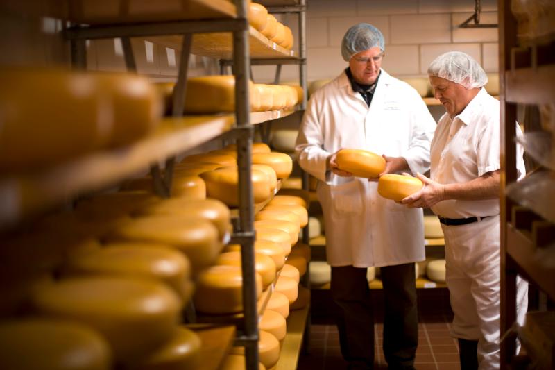 哪个奶酪最好吃,奶酪哪种最好吃