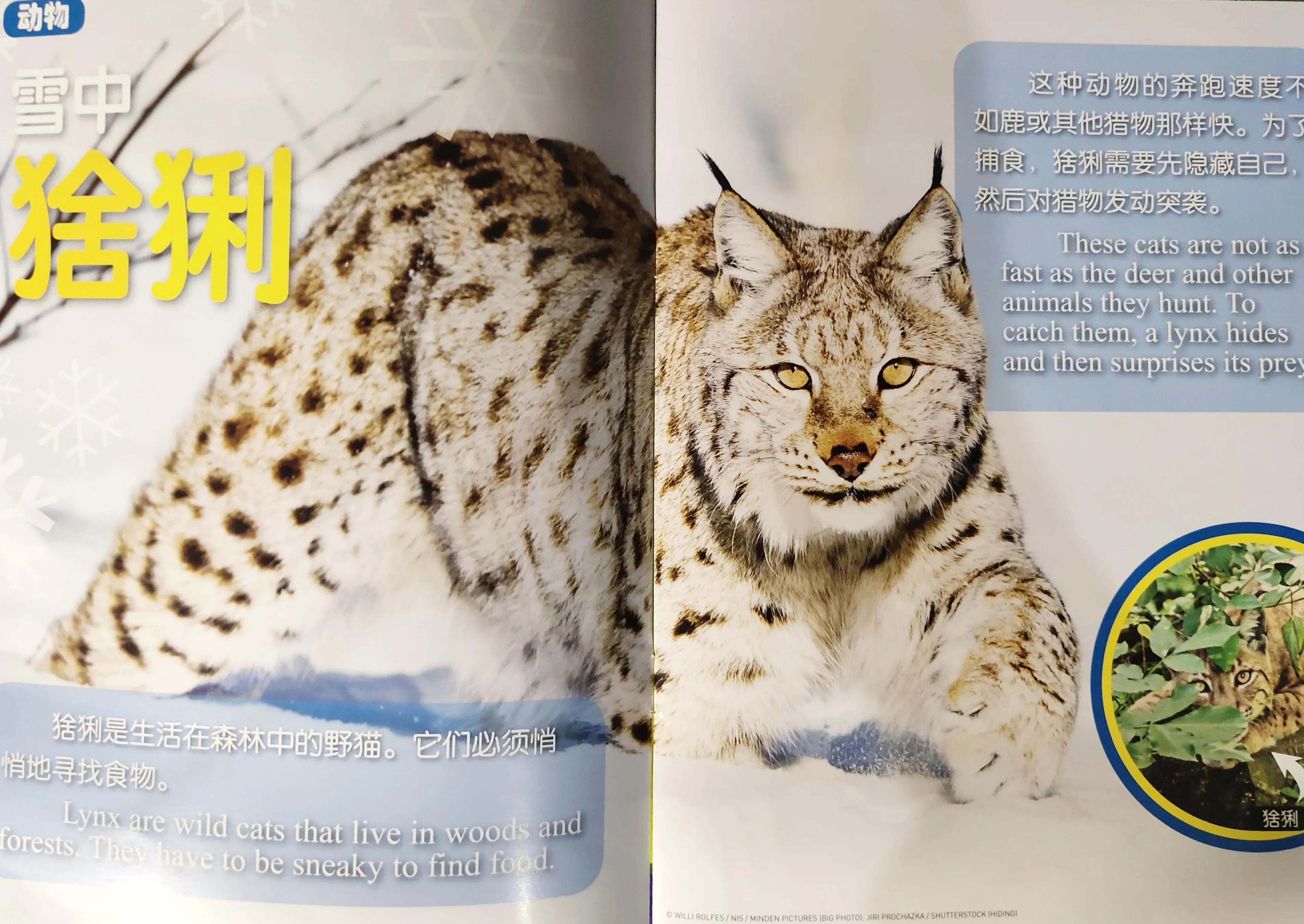 环球少年地理幼儿版2023过刊,环球少年地理21年过刊