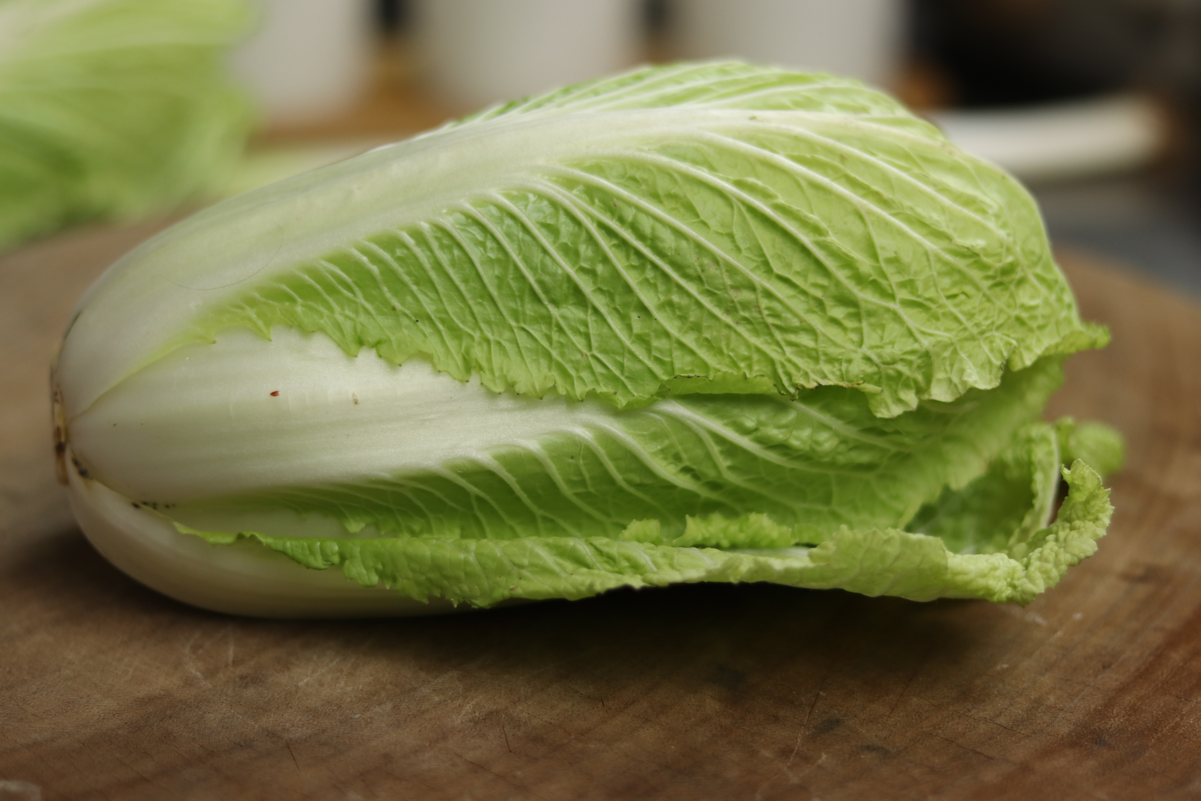 多吃高蛋白食物能增加免疫力吗 (阳了可以吃些什么食物增强免疫力)