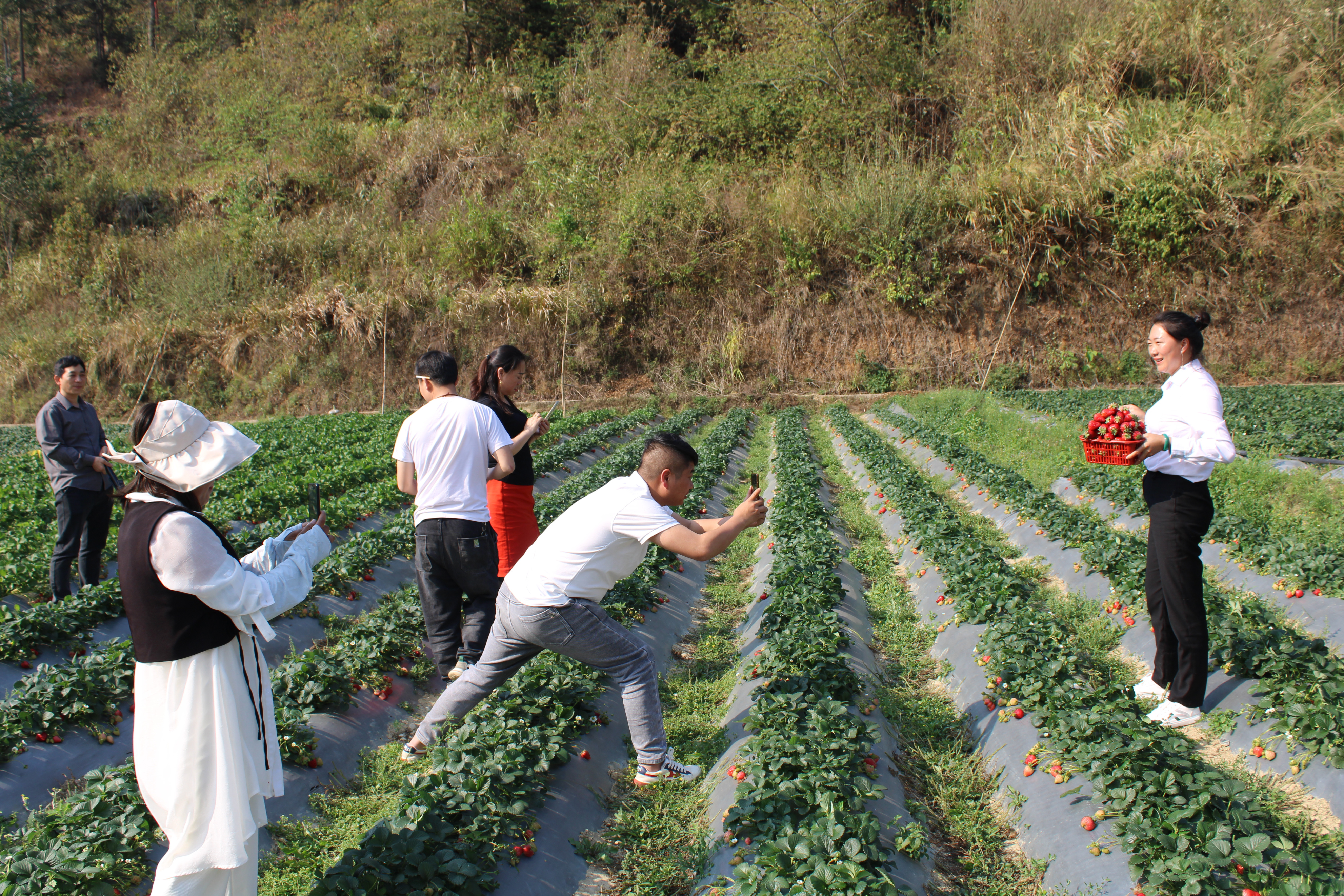 麻栗坡县电商示范县项目工作汇报2023年3月
