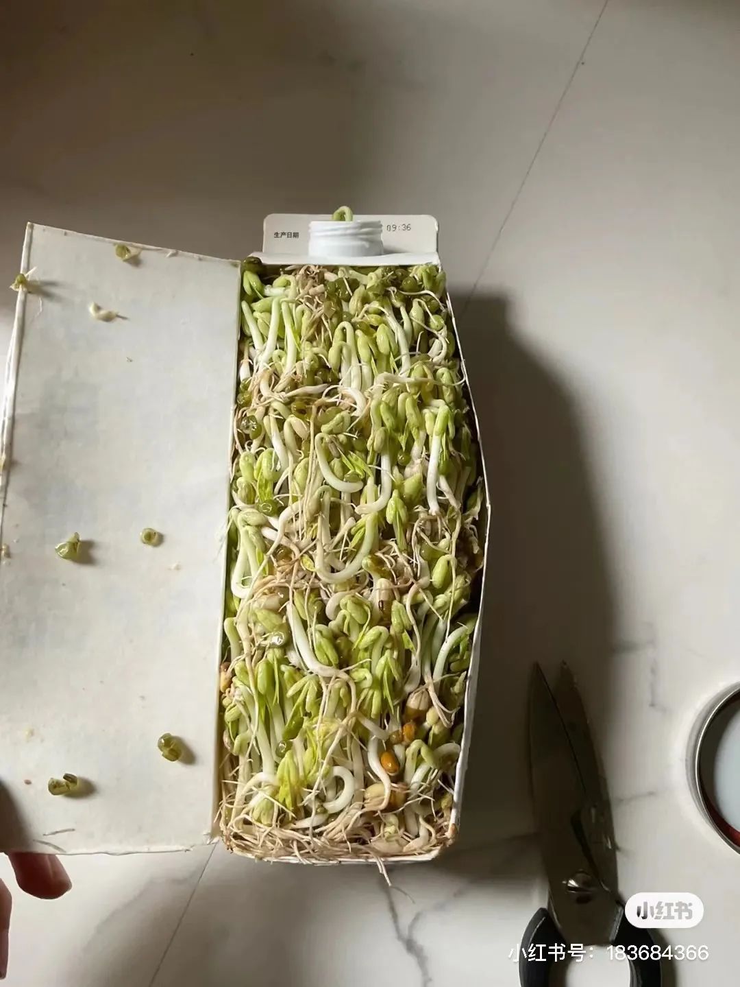 居家实用收纳好物分享,10件让家里变高级的收纳小神器