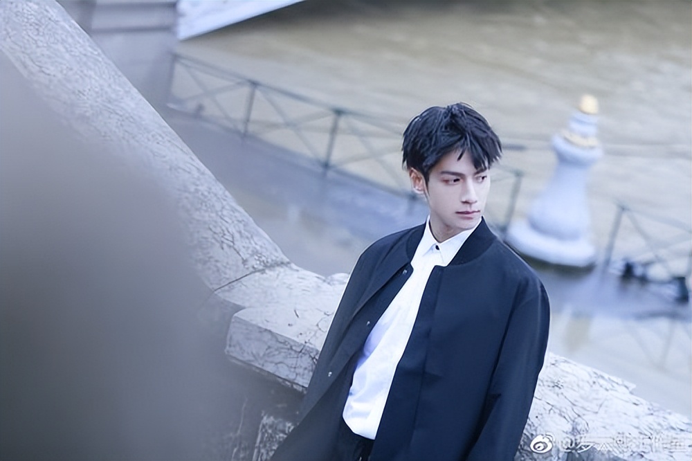 罗云熙的人生成就,罗云熙大器晚成