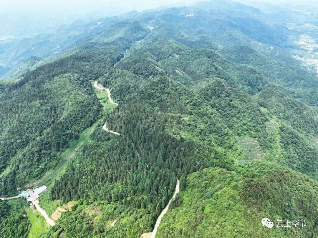 痛心贵州36岁民警牺牲在工作岗位,痛心年仅29岁辅警倒在工作岗位上