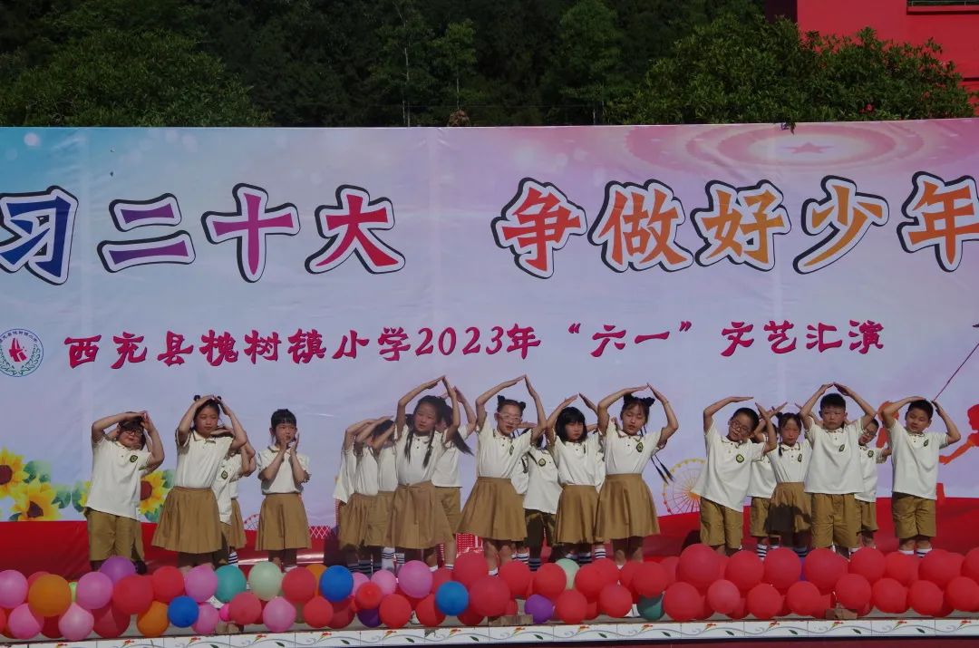 西充县槐树镇小学：学习二十大，争做好少年