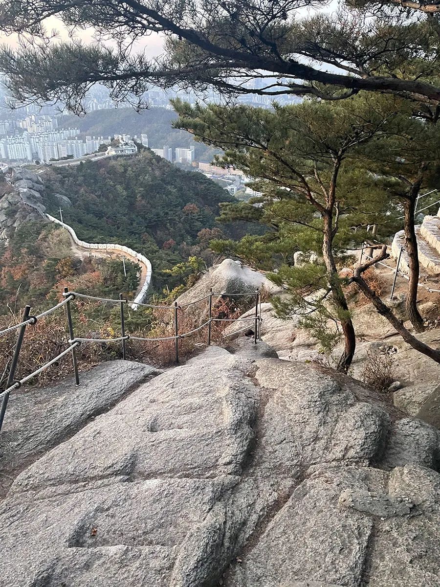 来首尔旅游,来首尔都会逛的东大门