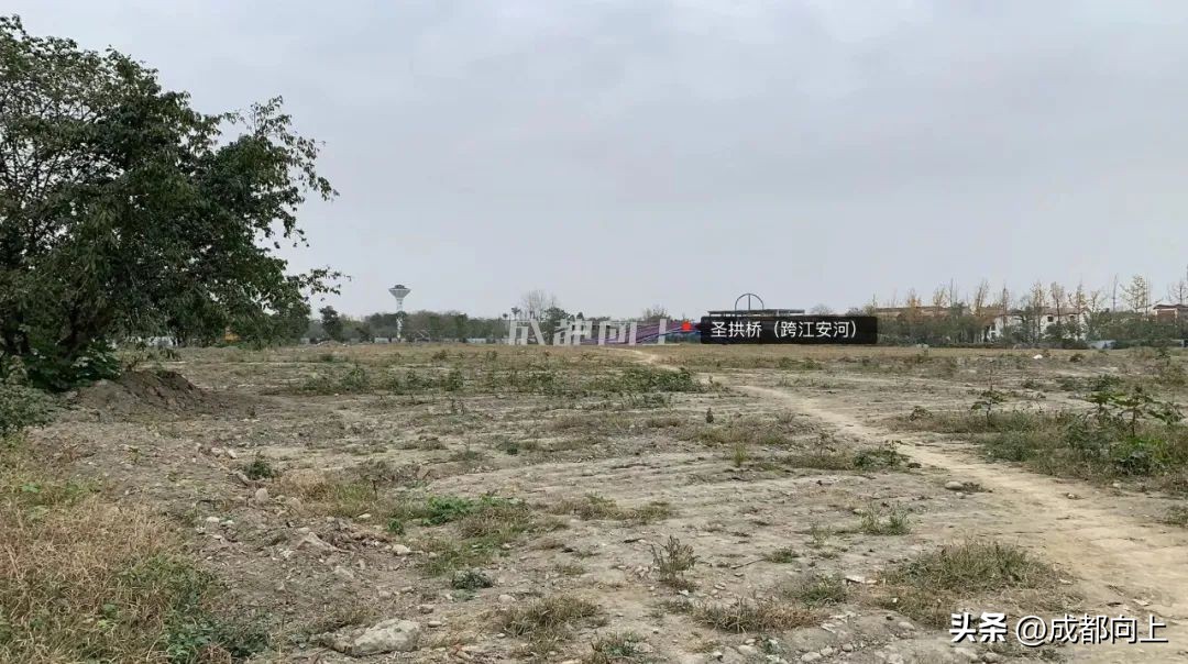 马家寺交通拥堵,双流马家寺现状