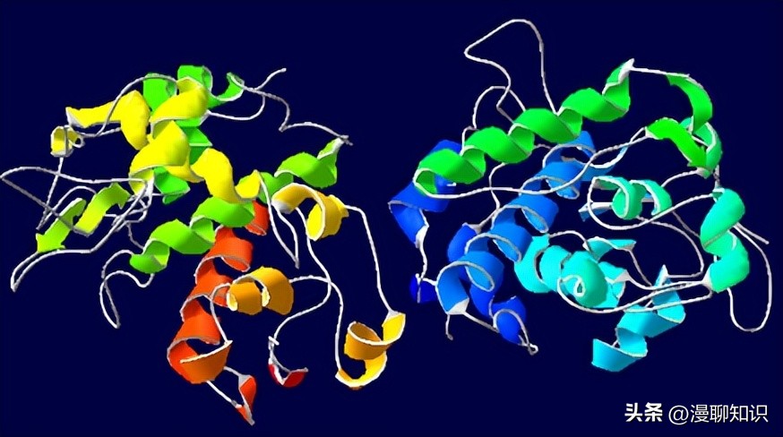 几丁质在水产的作用与功效,几丁质酶的本质