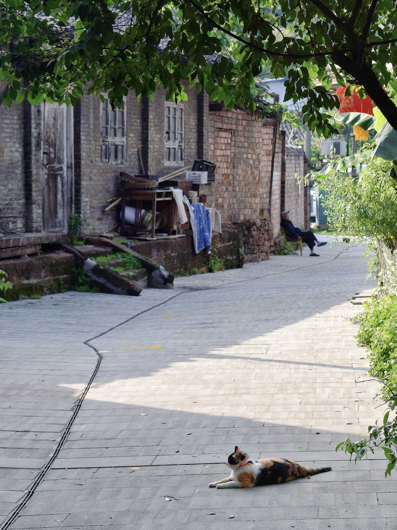 乐山异国风情打卡新去处,乐山游玩攻略及人文风情